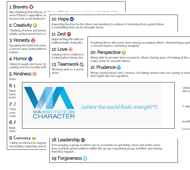 Via Character Strengths Profiling Big Results Training